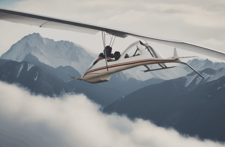 Dutch Delta Leager crashed in French Alps